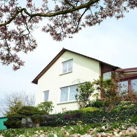 Ferienwohnung Rheinblick Bad Bellingen Εξωτερικό φωτογραφία