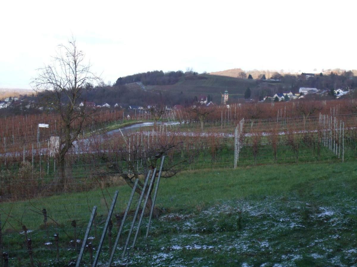 Ferienwohnung Rheinblick Bad Bellingen Εξωτερικό φωτογραφία