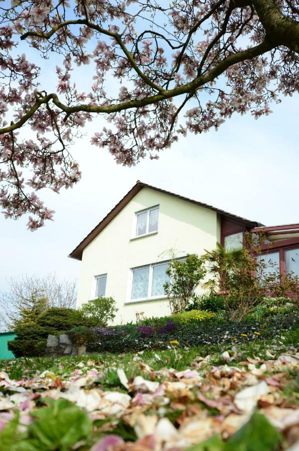 Ferienwohnung Rheinblick Bad Bellingen Εξωτερικό φωτογραφία
